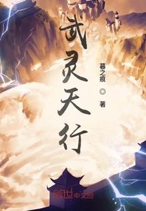 寻影觅踪