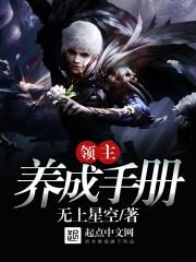 神奇宝贝小叶