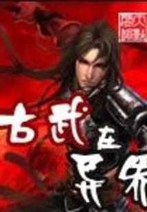 网游之使徒