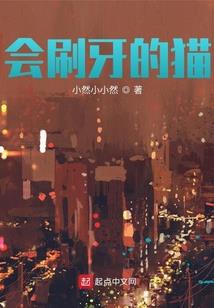 探案小公爵