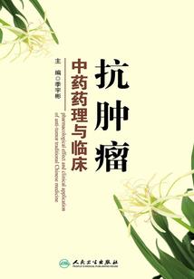 造物主的白日梦