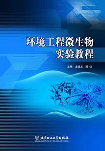 武术的火种