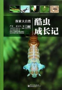 纪念失去的青春