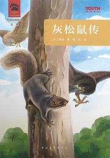 炼气期来了相亲系统