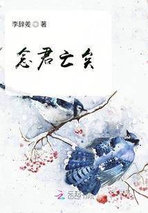 咏叹调与嘉年华
