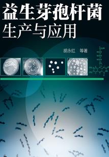 坏坏游侠