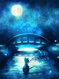一世风流一品女相