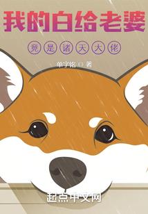 四象至臻