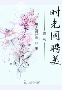 神奇宝贝之超克之理