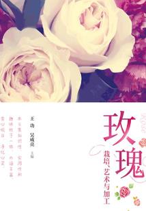 凶徒与救赎
