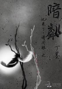 柠檬酸半分甜