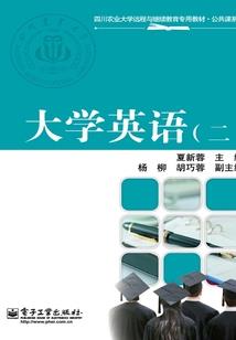 无敌兵王混花都