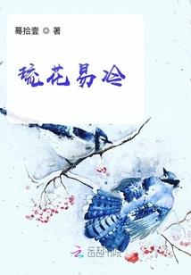 重生之王西镜