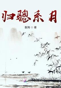 皇上追妻N多计