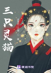 天龙七星