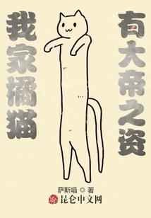 那本保险柜里的书