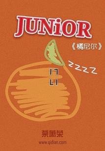 无良王爷不良妃