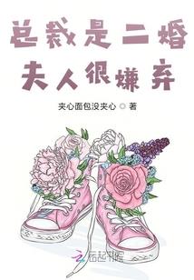 门当夫不对2