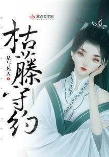 宠物小精灵之小萧